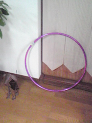 hulahoop.JPG